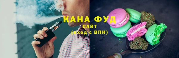дмт Краснослободск