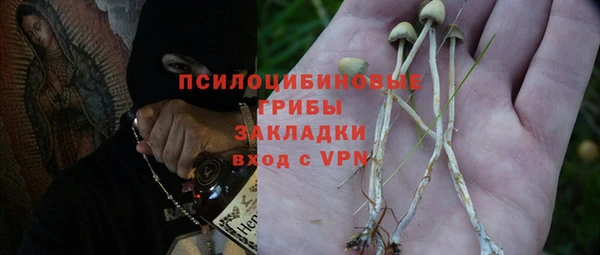 сатива Красноперекопск