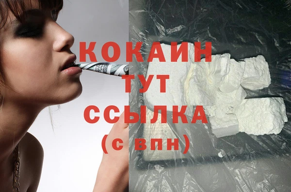 дмт Краснослободск