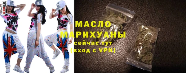 дмт Краснослободск