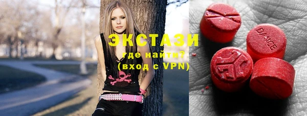 дмт Краснослободск